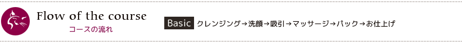 コースの流れ<Basic>クレンジング→洗顔→吸引→マッサージ→パック→お仕上げ